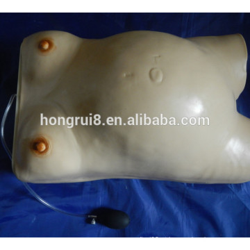 ISO Palpation Training simulator of Pregnant Women, The Four Step palpation